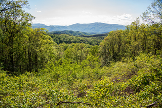 Filename=DSC_2211.jpg
Filesize=46522KiB
Dimensions=7360x4912
Date added=Sep 20, 2019 DSC_2211.jpg