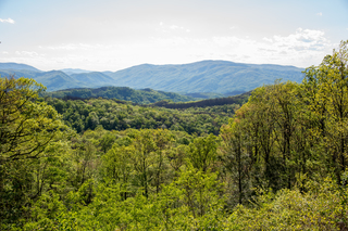 Filename=DSC_2214.jpg
Filesize=39780KiB
Dimensions=7360x4912
Date added=Sep 20, 2019 DSC_2214.jpg