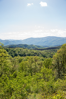 Filename=DSC_2215.jpg
Filesize=32157KiB
Dimensions=4912x7360
Date added=Sep 20, 2019 DSC_2215.jpg