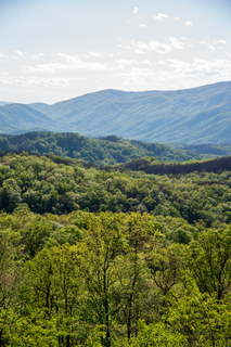 Filename=DSC_2216.jpg
Filesize=30785KiB
Dimensions=4912x7360
Date added=Sep 20, 2019 DSC_2216.jpg