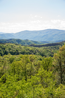 Filename=DSC_2217.jpg
Filesize=34646KiB
Dimensions=4912x7360
Date added=Sep 20, 2019 DSC_2217.jpg