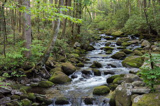 Filename=DSC_2219.jpg
Filesize=29311KiB
Dimensions=7009x4678
Date added=Sep 20, 2019 DSC_2219.jpg