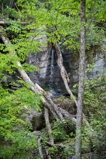 Filename=DSC_2221.jpg
Filesize=40854KiB
Dimensions=4912x7360
Date added=Sep 20, 2019 DSC_2221.jpg