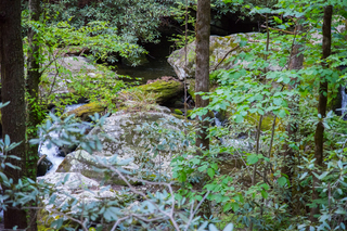 Filename=DSC_2222.jpg
Filesize=38593KiB
Dimensions=7360x4912
Date added=Sep 20, 2019 DSC_2222.jpg