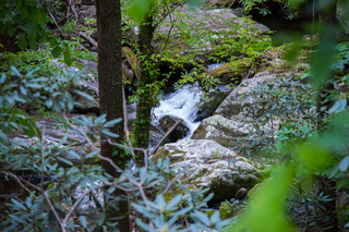 Filename=DSC_2223.jpg
Filesize=35528KiB
Dimensions=7360x4912
Date added=Sep 20, 2019 DSC_2223.jpg