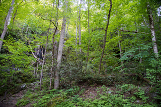 Filename=DSC_2224.jpg
Filesize=38994KiB
Dimensions=7360x4912
Date added=Sep 20, 2019 DSC_2224.jpg