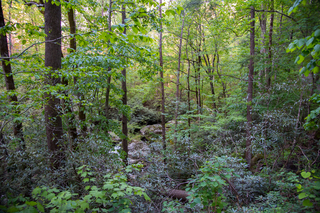 Filename=DSC_2226.jpg
Filesize=37296KiB
Dimensions=7360x4912
Date added=Sep 20, 2019 DSC_2226.jpg