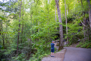 Filename=DSC_2227.jpg
Filesize=37119KiB
Dimensions=7360x4912
Date added=Sep 20, 2019 DSC_2227.jpg