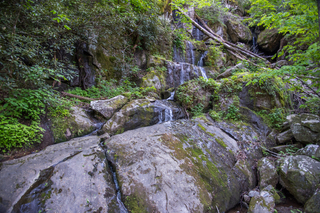 Filename=DSC_2229.jpg
Filesize=31518KiB
Dimensions=7360x4912
Date added=Sep 20, 2019 DSC_2229.jpg