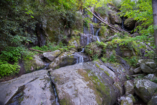 Filename=DSC_2230.jpg
Filesize=35740KiB
Dimensions=7360x4912
Date added=Sep 20, 2019 DSC_2230.jpg