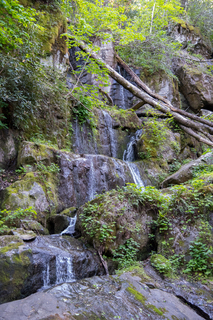 Filename=DSC_2231.jpg
Filesize=38795KiB
Dimensions=4912x7360
Date added=Sep 20, 2019 DSC_2231.jpg