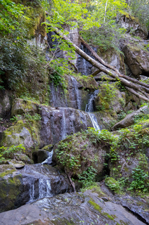 Filename=DSC_2232.jpg
Filesize=38287KiB
Dimensions=4912x7360
Date added=Sep 20, 2019 DSC_2232.jpg