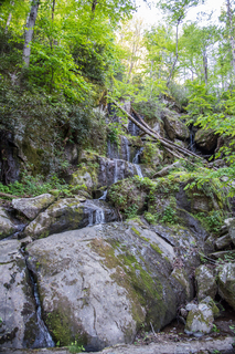 Filename=DSC_2234.jpg
Filesize=38442KiB
Dimensions=4912x7360
Date added=Sep 20, 2019 DSC_2234.jpg