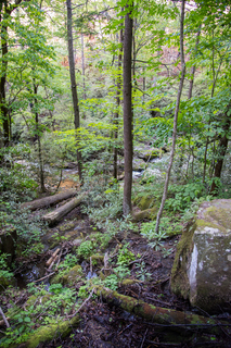 Filename=DSC_2235.jpg
Filesize=39902KiB
Dimensions=4912x7360
Date added=Sep 20, 2019 DSC_2235.jpg