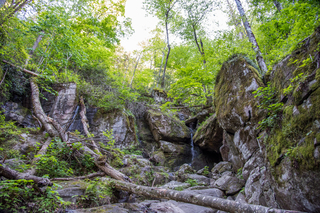 Filename=DSC_2236.jpg
Filesize=36458KiB
Dimensions=7360x4912
Date added=Sep 20, 2019 DSC_2236.jpg