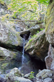 Filename=DSC_2239.jpg
Filesize=37111KiB
Dimensions=4912x7360
Date added=Sep 20, 2019 DSC_2239.jpg