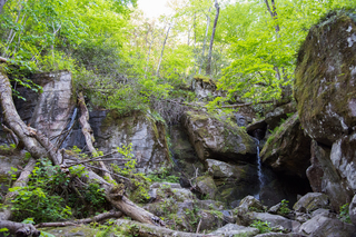 Filename=DSC_2242.jpg
Filesize=36145KiB
Dimensions=7360x4912
Date added=Sep 20, 2019 DSC_2242.jpg