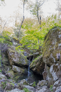 Filename=DSC_2244.jpg
Filesize=33438KiB
Dimensions=4912x7360
Date added=Sep 20, 2019 DSC_2244.jpg