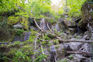 Filename=DSC_2246.jpg
Filesize=36595KiB
Dimensions=7360x4912
Date added=Sep 20, 2019 DSC_2246.jpg