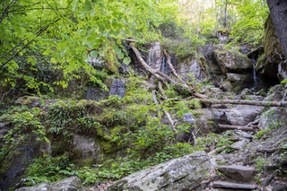 Filename=DSC_2247.jpg
Filesize=35276KiB
Dimensions=7360x4912
Date added=Sep 20, 2019 DSC_2247.jpg