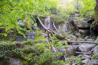 Filename=DSC_2248.jpg
Filesize=37810KiB
Dimensions=7360x4912
Date added=Sep 20, 2019 DSC_2248.jpg