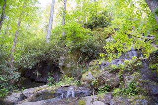 Filename=DSC_2252.jpg
Filesize=39902KiB
Dimensions=7360x4912
Date added=Sep 20, 2019 DSC_2252.jpg