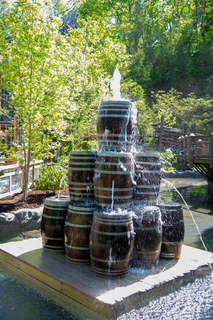 Filename=DSC_2260.jpg
Filesize=30028KiB
Dimensions=4912x7360
Date added=Sep 20, 2019 DSC_2260.jpg