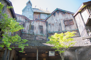 Filename=DSC_2265.jpg
Filesize=19872KiB
Dimensions=7360x4912
Date added=Sep 20, 2019 DSC_2265.jpg