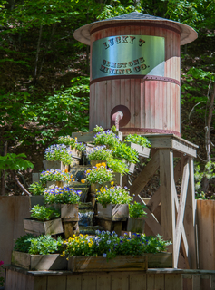 Filename=DSC_2267.jpg
Filesize=15093KiB
Dimensions=4346x5853
Date added=Sep 20, 2019 DSC_2267.jpg