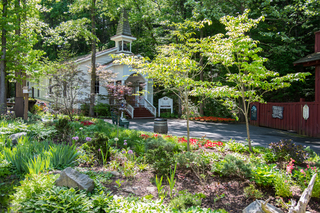 Filename=DSC_2270.jpg
Filesize=34939KiB
Dimensions=7360x4912
Date added=Sep 20, 2019 DSC_2270.jpg