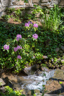 Filename=DSC_2272.jpg
Filesize=26789KiB
Dimensions=4912x7360
Date added=Sep 20, 2019 DSC_2272.jpg