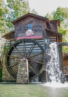 Filename=DSC_2279.jpg
Filesize=25663KiB
Dimensions=4831x6910
Date added=Sep 20, 2019 DSC_2279.jpg