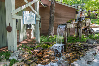 Filename=DSC_2298.jpg
Filesize=27658KiB
Dimensions=7360x4912
Date added=Sep 20, 2019 DSC_2298.jpg