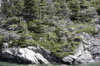 Filename=DSC_0002.jpg
Filesize=29812KiB
Dimensions=7360x4912
Date added=Sep 20, 2019 DSC_0002.jpg