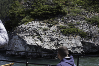 Filename=DSC_0003.jpg
Filesize=23504KiB
Dimensions=7360x4912
Date added=Sep 20, 2019 DSC_0003.jpg