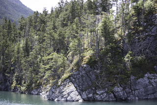 Filename=DSC_0011.jpg
Filesize=27018KiB
Dimensions=7360x4912
Date added=Sep 20, 2019 DSC_0011.jpg