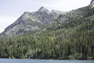 Filename=DSC_0015.jpg
Filesize=23788KiB
Dimensions=7360x4912
Date added=Sep 20, 2019 DSC_0015.jpg