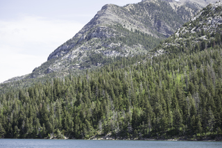 Filename=DSC_0017.jpg
Filesize=22257KiB
Dimensions=7360x4912
Date added=Sep 20, 2019 DSC_0017.jpg