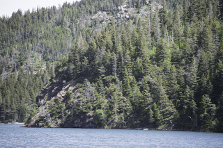 Filename=DSC_0018.jpg
Filesize=29501KiB
Dimensions=7360x4912
Date added=Sep 20, 2019 DSC_0018.jpg