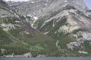 Filename=DSC_0019.jpg
Filesize=25517KiB
Dimensions=7360x4912
Date added=Sep 20, 2019 DSC_0019.jpg