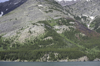 Filename=DSC_0022.jpg
Filesize=26905KiB
Dimensions=7360x4912
Date added=Sep 20, 2019 DSC_0022.jpg