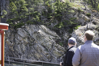 Filename=DSC_0024.jpg
Filesize=25133KiB
Dimensions=7360x4912
Date added=Sep 20, 2019 DSC_0024.jpg