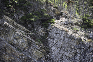 Filename=DSC_0026.jpg
Filesize=26908KiB
Dimensions=7360x4912
Date added=Sep 20, 2019 DSC_0026.jpg