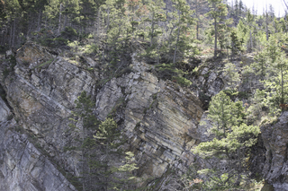 Filename=DSC_0029.jpg
Filesize=29722KiB
Dimensions=7360x4912
Date added=Sep 20, 2019 DSC_0029.jpg