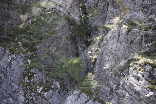 Filename=DSC_0030.jpg
Filesize=27691KiB
Dimensions=7360x4912
Date added=Sep 20, 2019 DSC_0030.jpg