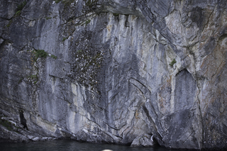 Filename=DSC_0033.jpg
Filesize=23782KiB
Dimensions=7360x4912
Date added=Sep 20, 2019 DSC_0033.jpg