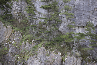 Filename=DSC_0035.jpg
Filesize=28784KiB
Dimensions=7360x4912
Date added=Sep 20, 2019 DSC_0035.jpg