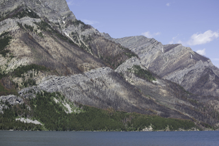 Filename=DSC_0038.jpg
Filesize=23719KiB
Dimensions=7360x4912
Date added=Sep 20, 2019 DSC_0038.jpg