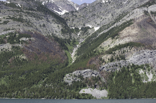 Filename=DSC_0056.jpg
Filesize=28807KiB
Dimensions=7360x4912
Date added=Sep 20, 2019 DSC_0056.jpg