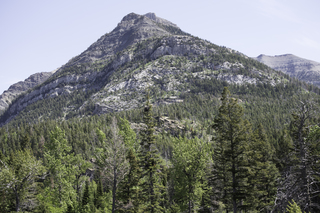 Filename=DSC_0066.jpg
Filesize=25124KiB
Dimensions=7360x4912
Date added=Sep 20, 2019 DSC_0066.jpg